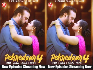 First pehredaar net series episode leaked video